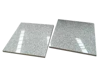 الصين رخيصة رمادي فاتح G603 ألواح من الغرانيت الحجر قطع لحجم بلاط الأرضيات و كونترتوب 600x600 MM