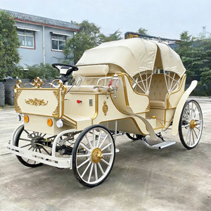 Chariot de tourisme haut de gamme à double auvent, très demandé, avec couleurs personnalisables - Product Image 4