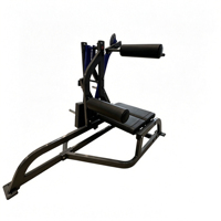Machine de musculation professionnelle réglable en acier pour l'extension dorsale et l'exercice pectoral, idéale pour le renforcement du bas du dos