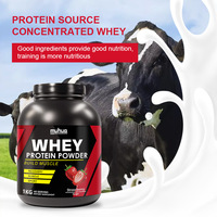 Bubuk Protein Whey Stroberi 1KG 40 Sajian, Bubuk Nutrisi Sumber Whey Terkonsentrasi untuk Mendukung Asupan Protein Harian Otot