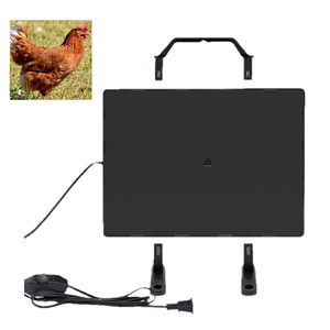 Réchauffeur de <span class=keywords><strong>poulailler</strong></span> de haute qualité pour l'éclosion efficace des poussins et l'élevage de cailles - Product Image 2