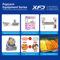 Machine à pop-corn industrielle de nouvelle condition avec Popper à air chaud et caramélisateur pour la production et la ligne d'arômes