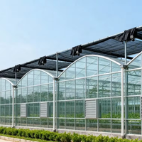 Serre multi-travées en acier galvanisé à chaud, vente directe usine, meilleur prix, qualité supérieure, serre personnalisée pour légumes