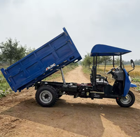 Triciclo de Carga Diésel de Gran Tamaño, 3 Toneladas, 3 Ruedas, Exportación al Mercado Africano, Precio de Fábrica