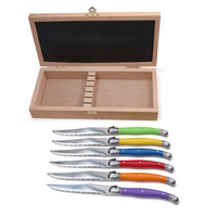 Ensemble de couteaux à steak en acier inoxydable avec manche en plastique de couleur arc-en-ciel, 6 pièces, écologiques, lavables au lave-vaisselle, style Laguiole, couverts de table