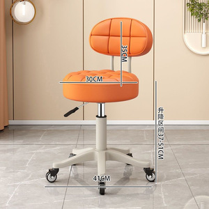 Sedia da Salone Regolabile, Sedia Idraulica Portatile con Ruote, Schienale Regolabile in Altezza, Rotazione a 360 Gradi per Esterni e Soggiorno - Product Image 6