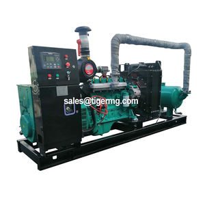 닭 분뇨 용 1mw 3mw 100kva 125kva 250kw 발전기 소형 바이오 가스 엔진 동력 <span class=keywords><strong>Chp</strong></span> 전기 발전기 가격 공장 - Product Image 6