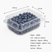 Groothandel 1000g PET Fruit Clamshell Verpakking 33g 36g 40g Opties Voedselcontainer 400st/CTN