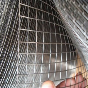 Galvanized <strong>Welded</strong> <strong>Wire</strong> <strong>Mesh</strong> <strong>Roll</strong> - Product Image 4