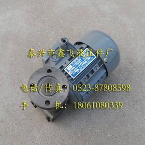 Unité de pompe à huile à rotor ZCB-0.8, moteur Shengzhou Changfeng YS5014, triphasé asynchrone, pompe à vis 40W - Product Image 1