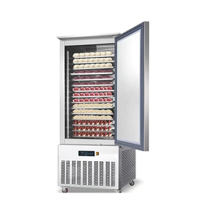 Congelatore <span class=keywords><strong>a</strong></span> shock più venduto, refrigeratore per pesce e pizza, armadio di congelamento, unità di condensazione, congelatore rapido - Product Image 5