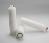 Filtre à membrane en nylon 6,6 de qualité stérile 0,1 micron 10 pouces 20 pouces pour la filtration d'encre