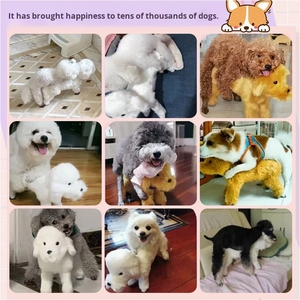 Venta al por mayor Teddy <span class=keywords><strong>Dog</strong></span> juguete de silicona dibujos animados Sexy Humping apareamiento Animal perro mascota juguete sexual para perro - Product Image 5