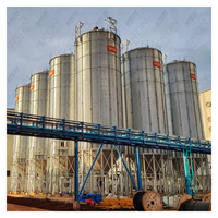 Silo Industrial de Acero para Granos de Café de Gran Capacidad (100-15000 Toneladas), Construcción Galvanizada en Caliente de Doble Capa, Control PLC Centralizado