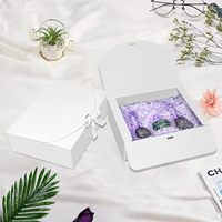 Faible MOQ, Luxe, Étanche, Haut de gamme, Portable, Kraft, Carton ondulé, Recyclé, Pliable, Écologique, Structure robuste, Lamination mate