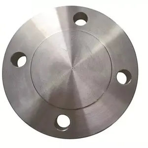 B16.9 JIS B2311 DIN2605 316 Stainless Steel Flange Forged Blind Flange Spectacle Flange