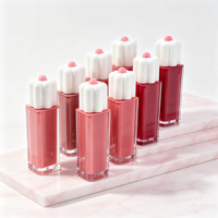 LSFAIRY LG198 Vente en gros de gloss à lèvres liquide nude vegan mat imperméable, longue tenue, sans transfert, étiquette privée, logo personnalisé