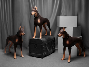 Maniquí de Doberman Pinscher Grande de 87.5cm, Modelo de Perro Desmontable de Fibra de Vidrio para Exhibición en Tiendas de Collares y Arneses para Mascotas - Product Image 6