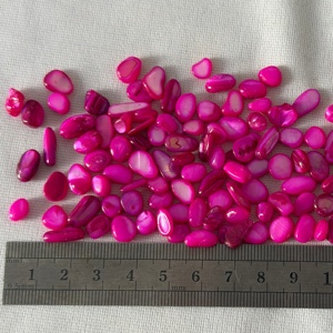 Coquillages concassés <span class=keywords><strong>de</strong></span> 1 à 3 mm, copeaux <span class=keywords><strong>de</strong></span> coquillages marins pour la décoration intérieure, l'artisanat, le remplissage <span class=keywords><strong>de</strong></span> vases, l'aménagement paysager moderne, le terrazzo, <span class=keywords><strong>les</strong></span> fêtes et <span class=keywords><strong>les</strong></span> mariages - Product Image 2