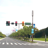 Vente chaude, divers types de lampadaires LED extérieurs pour cour, paysage, place, lampadaires de signalisation routière