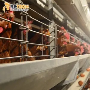 La migliore vendita di attrezzature per pollame per uova tipo H gabbia per batteria di pollo a strati galline ovaiole