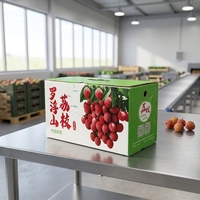Boîte en polypropylène alvéolaire sur mesure 500x350x350mm, bacs pliables étanches pour la manutention et l'emballage des matériaux