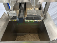 Machine de pesage linéaire automatique de haute précision à double tête et grande capacité (24 L) avec emballage et collage pour noix, snacks et aliments granulaires
