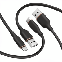 Câble Type-C vers Type-C OEM/ODM en TPE avec bordure dorée, charge rapide 60W pour iPhone 17/16/Max Plus et plus encore