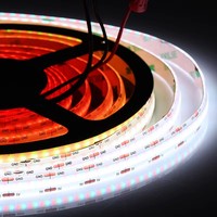 Bande lumineuse LED RGBIC de 10 mm de large, bande lumineuse LED COB, bande lumineuse LED RGB adressable WS2811 5V, bande lumineuse LED 1008 LED/M, bande lumineuse LED intelligente