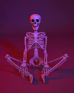 Décoration d'Halloween, squelette réaliste grandeur nature en plastique, effrayant pour fête d'Halloween - Product Image 4