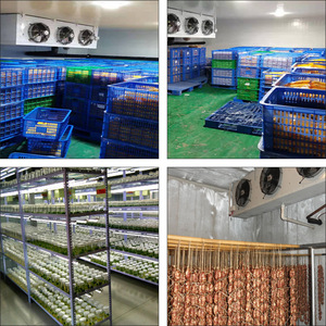 Cold Room Deep Freezer <b>Refrigerator</b> Portable Cold Room Solar Powered Cold Rooms Cold Storage Warehouse - Product Image 3