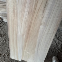 Panel de Paulownia con Cantos Encolados a Precio de Fábrica, Superficie Templada, Resistente a la Humedad, para la Construcción de Muebles a Medida