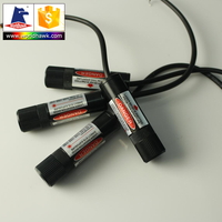 Modul Laser Garis Silang Biru Hijau Merah 450nm 532nm 650nm 1mW 5mW 10mW 30mW 50mW 100mW 200mW