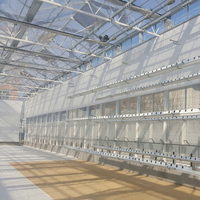 Grande serre industrielle en verre avec système hydroponique et contrôle climatique pour la culture toute l'année de légumes et de fruits