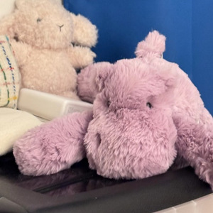 Peluche Ippopotamo Super Morbido di JC British, Giocattolo Nip's Jelly con Imbottitura in Cotone PP e Fodera in Rete per Bambini - Product Image 3