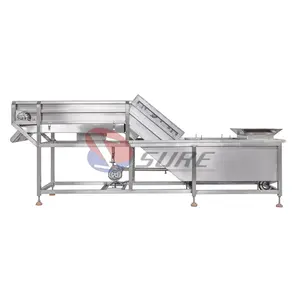 Frozen Fish,Shrimp and Meat Ice Coating Machine/Fish Ball Ice Glazing Machine/Fish Fillet Ice Glazing Machine