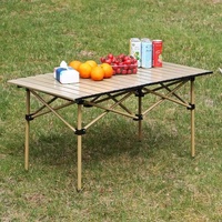Table pliante d'extérieur, table de pique-nique portable, équipement de camping, ensemble table et chaises léger, barbecue, mobilier d'extérieur pour barbecue et repas en plein air