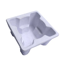 Barquettes en pulpe biodégradable PPWR, conception gratuite, emballage en pulpe, emballage en fibre moulée personnalisé, fournisseur professionnel de barquettes en pulpe