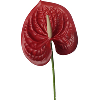 Fleur artificielle Anthurium à toucher réel, tige réaliste pour arrangement floral, décoration de la maison et du jardin