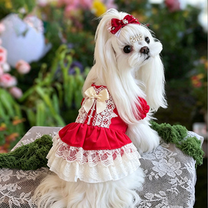 Vêtements haut de gamme pour chiens <span class=keywords><strong>Papillon</strong></span> pour l'automne et l'hiver, robes rouges du Nouvel An chinois pour chiots et petits chiens, robes moelleuses pour animaux de compagnie - Product Image 3