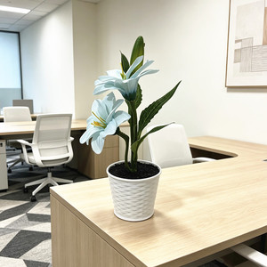 Bonsaï de lys artificiel Paulon, 24 cm de haut, fleurs en plastique dans des pots blancs, pour décorations de bureau - Product Image 4