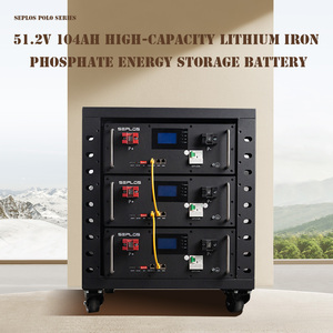 Factory Direct Seplos 51.2V 10KWh <b>Energy</b> <b>Storage</b> <b>System</b> 48V 200Ah LiFePO4 Solar Home Battery Wholesale - Product Image 5