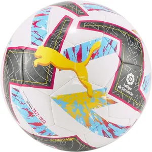 Ballon Ballons De Football Taille 4 Cham Pion Sports Viper Soccer Ball Football Ballon De Foot