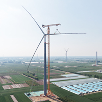Grue à tour plate DAHAN DHL2500-200T 200T pour l'installation d'éoliennes, avec moteur et propulseur, hauteur 280m, pour projets d'éoliennes