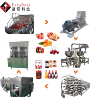Beste Service Turn-Key Oplossing Jam Pasta Maken Line Productie Apparatuur Apparaat Fruit Marmelade Machine