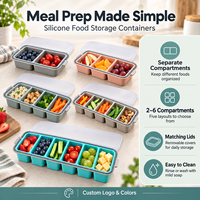 Boîte de rangement alimentaire en silicone multi-compartiments avec couvercle, 2 à 6 sections, réutilisable, pour fruits et collations