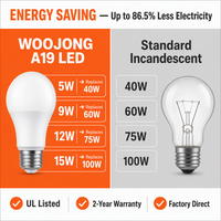 Ampoules LED WOOJONG CE ERP Foco 9W E27 A60 840 Lumens AC pour aménagement paysager