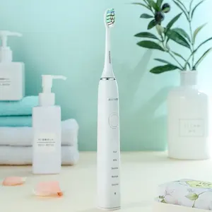 Baolijie Großhandel Fabrik OEM ODM Nylon benutzerdefinierte Etikettierung Zahnbürste automatische elektrische Zahnbürste