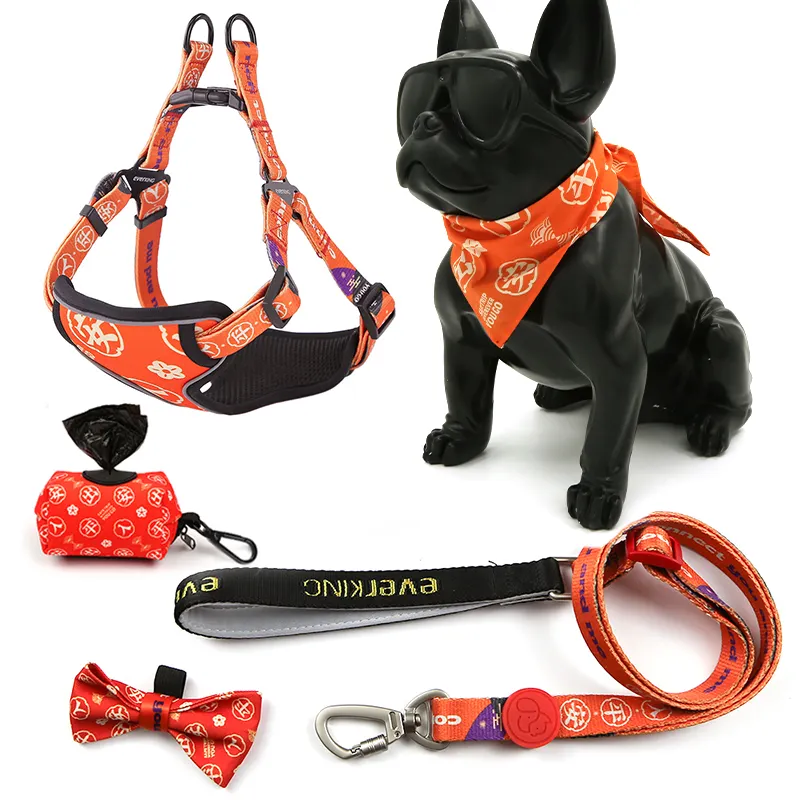 Harnais réglable en néoprène pour chien, fabricant, quantité minimale de commande, 6 pièces, ensemble de harnais, conception de luxe, ensemble de laisse de collier de chien personnalisé