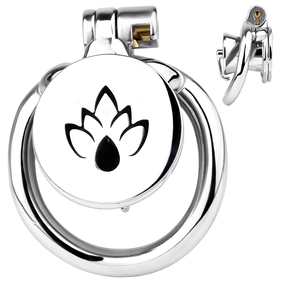 Frrk phẳng kim loại p.a chastity lồng với hoàng tử <span class=keywords><strong>Albert</strong></span> piercing thiết bị cho nam giới, phẳng chastity thiết bị, tiêu cực đảo ngược cockcage - Product Image 1